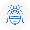 Bed Bug Extermination In Cumbernauld